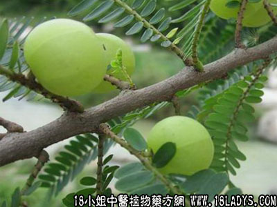 一阵风关上门1岁半幼儿被反锁房内吓得哇哇大哭