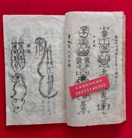 儿科大夫孙慧：新时期这十年孩子的就医处境越来越好