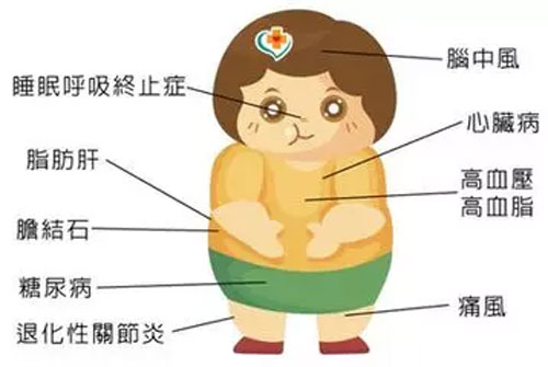 宝宝发展最必要伴随的三个阶段父母不要错过！