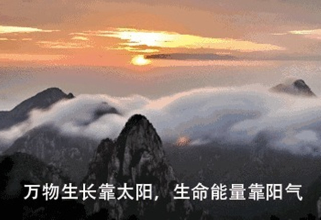 镇魂街：夏玲一经掉线永久林之路的战役该当一经结果
